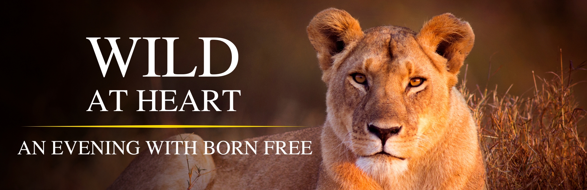 Wild at Heart